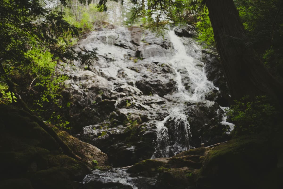 Katie and Water cover